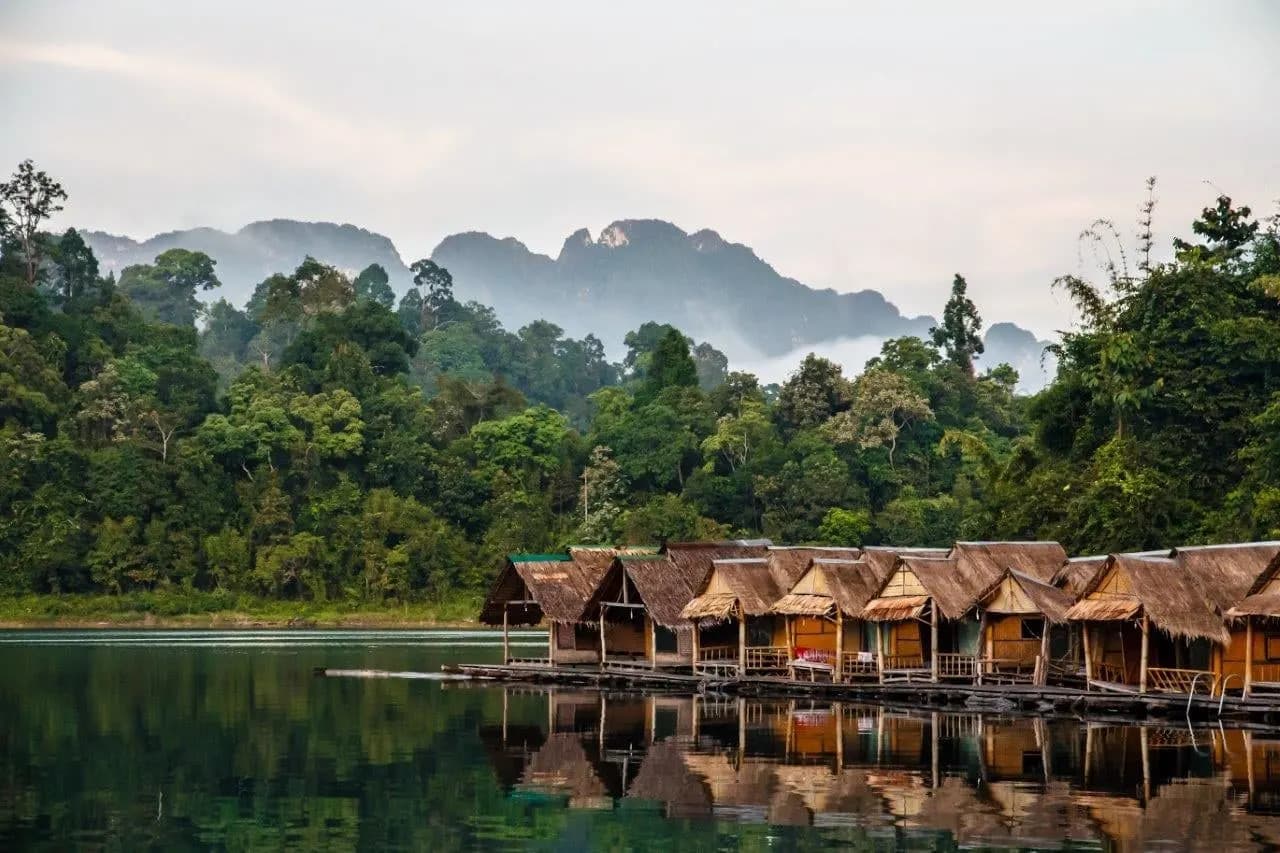 Floating raft houses at the edge of Cheow Lan Lake below misty limestone hills