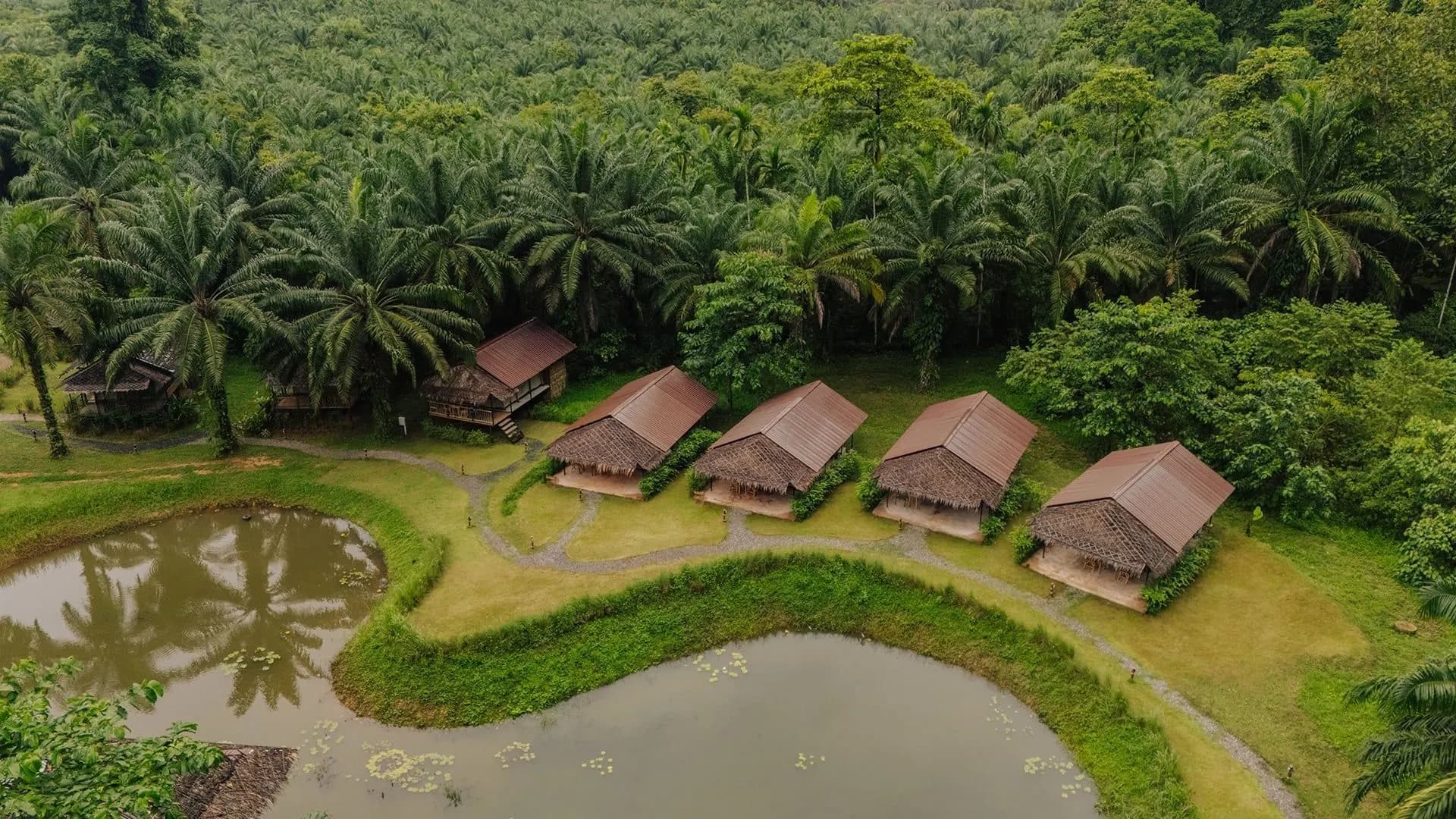 Into Khao Sok