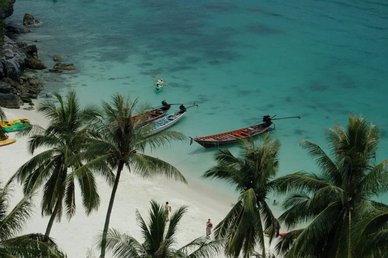 Longtail boats moored off a palm-fringed beach, seen from above