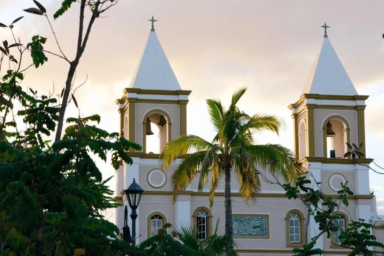 A twin-towered church behind a palm tree in the evening light