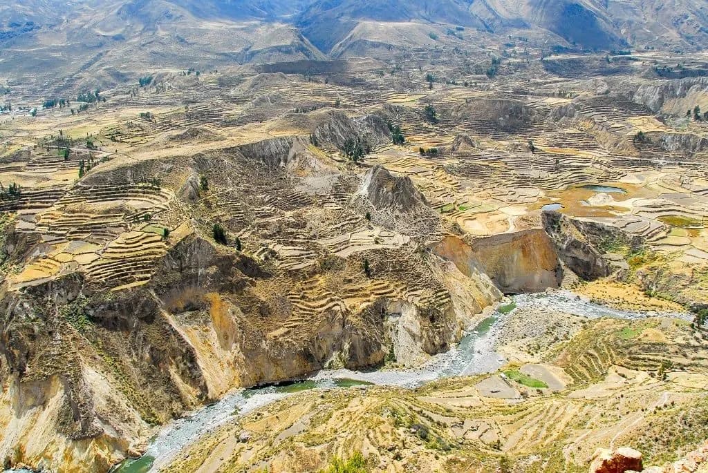 Terraced slopes and the river winding through the Colca Canyon