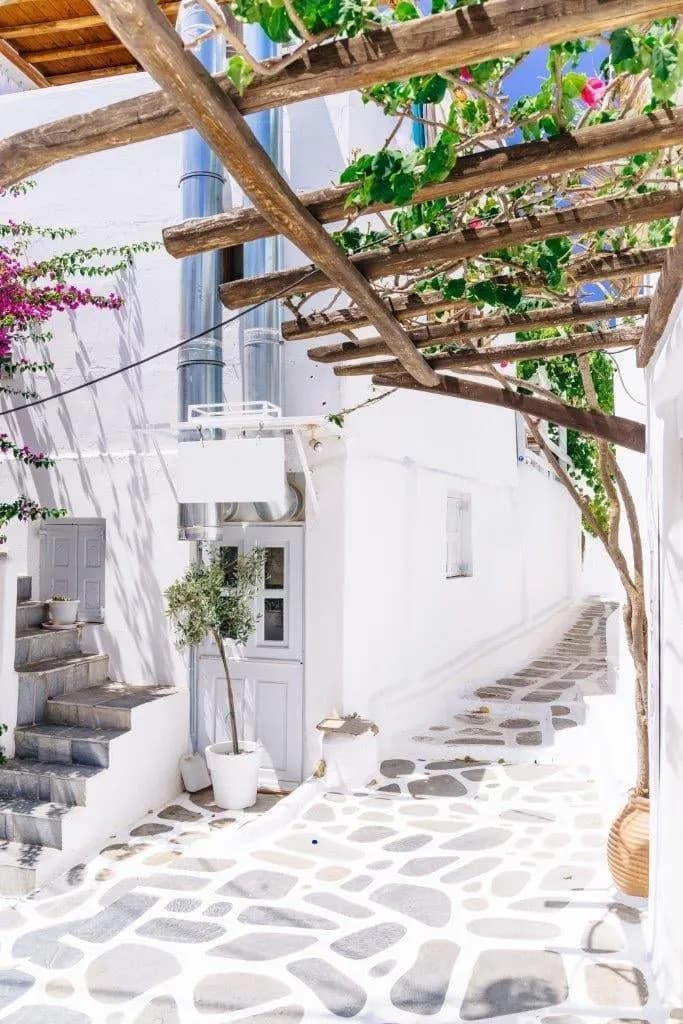 A whitewashed lane under a wooden pergola with climbing flowers