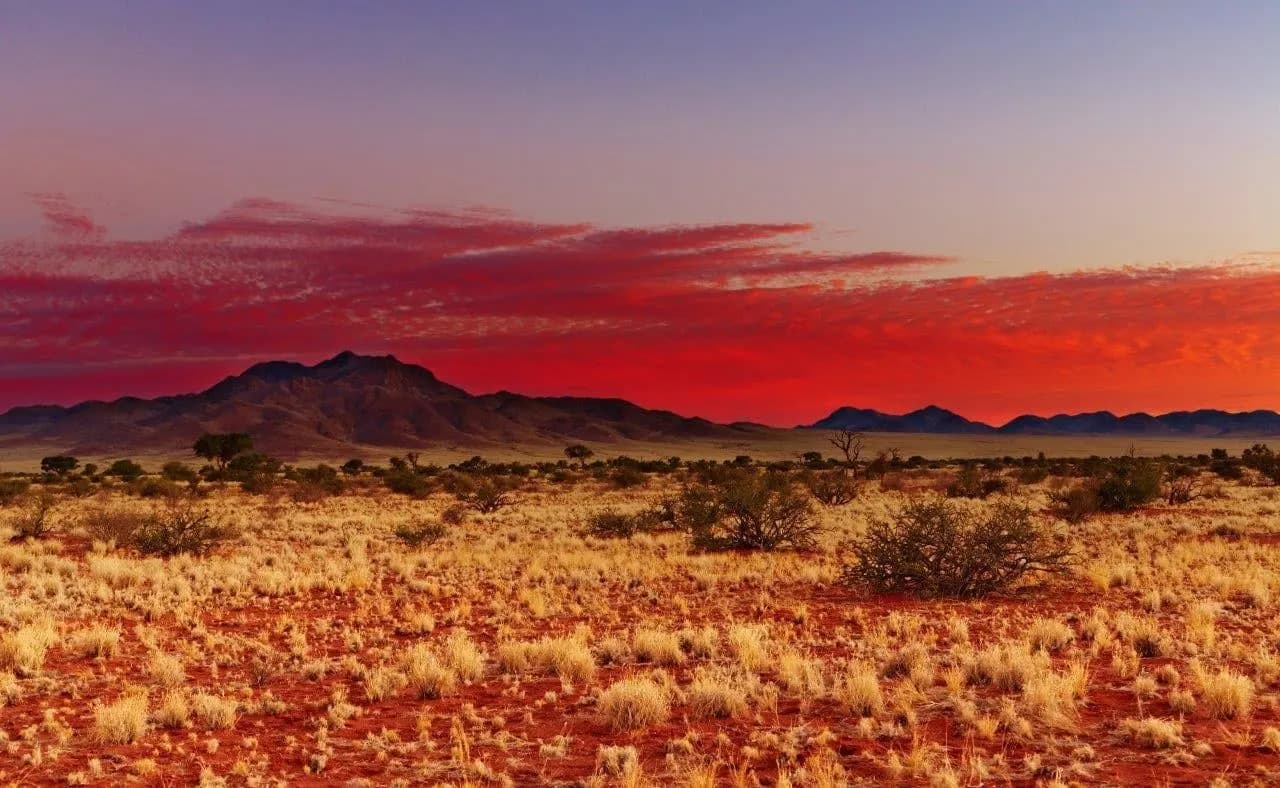 Red sand and scrub stretching to distant hills under a crimson sky