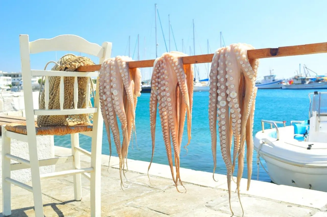 Octopus hung to dry beside a wooden chair at the harbour
