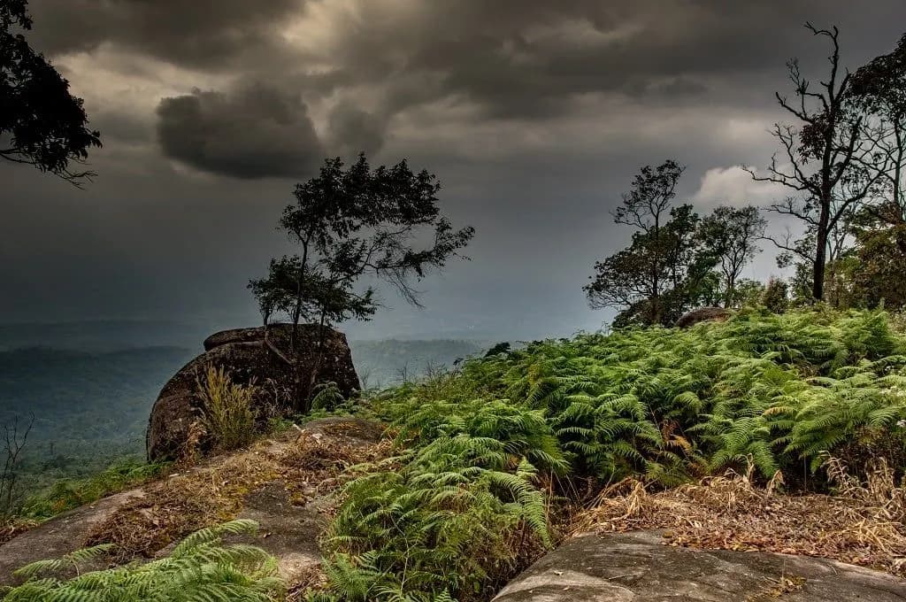 Ferns and boulders on a hilltop under heavy storm clouds