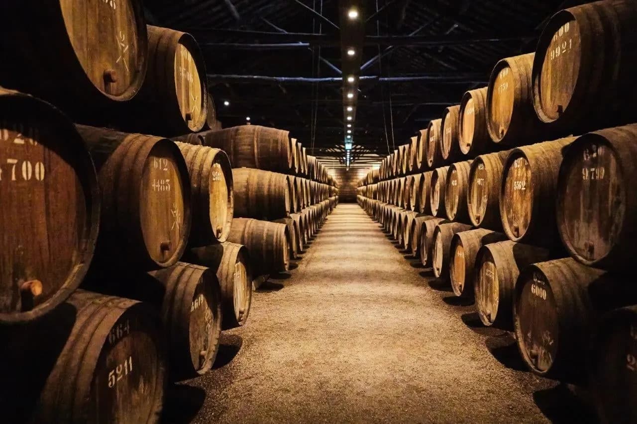 Rows of old wooden wine barrels lining a dim cellar