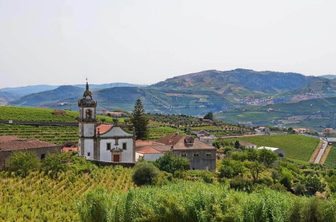 A white chapel among green vineyards in the Douro hills
