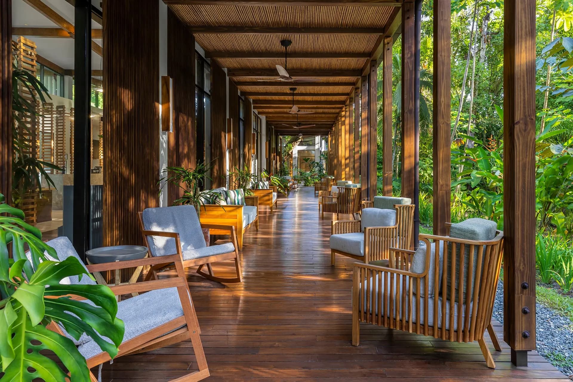 A long timber veranda with armchairs facing the rainforest