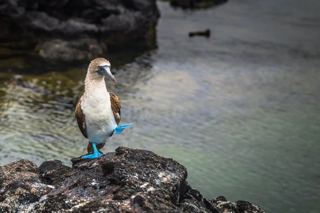 A day among the uninhabited islands