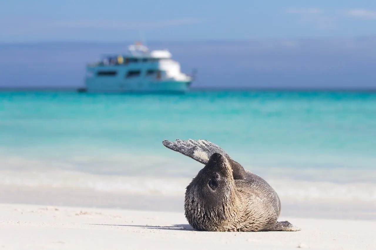 Bay tour and Las Grietas