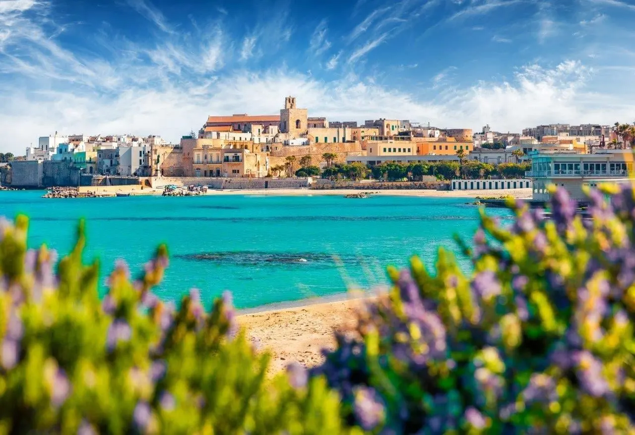 A sandy beach and turquoise bay below an old seaside town, with flowering shrubs in front