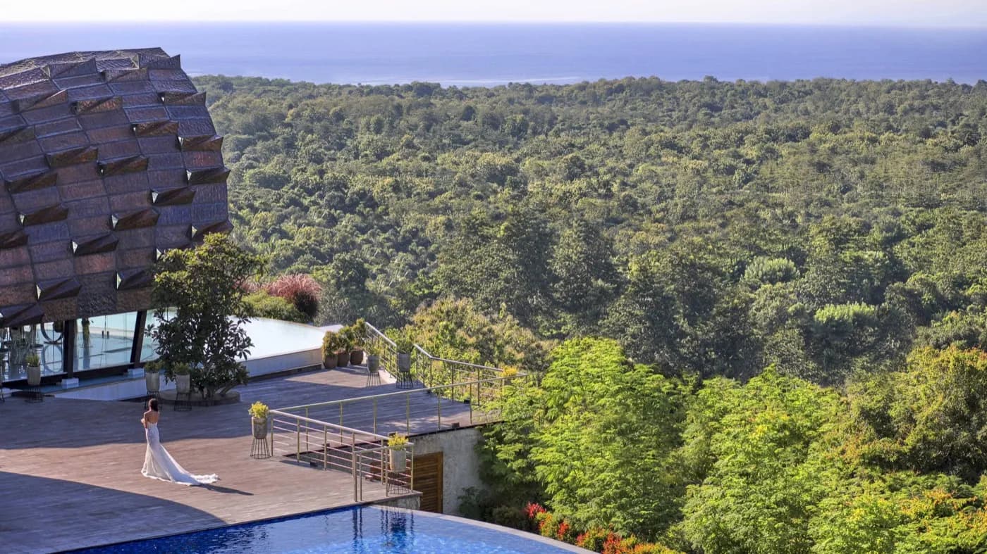 Clifftop view over the forest