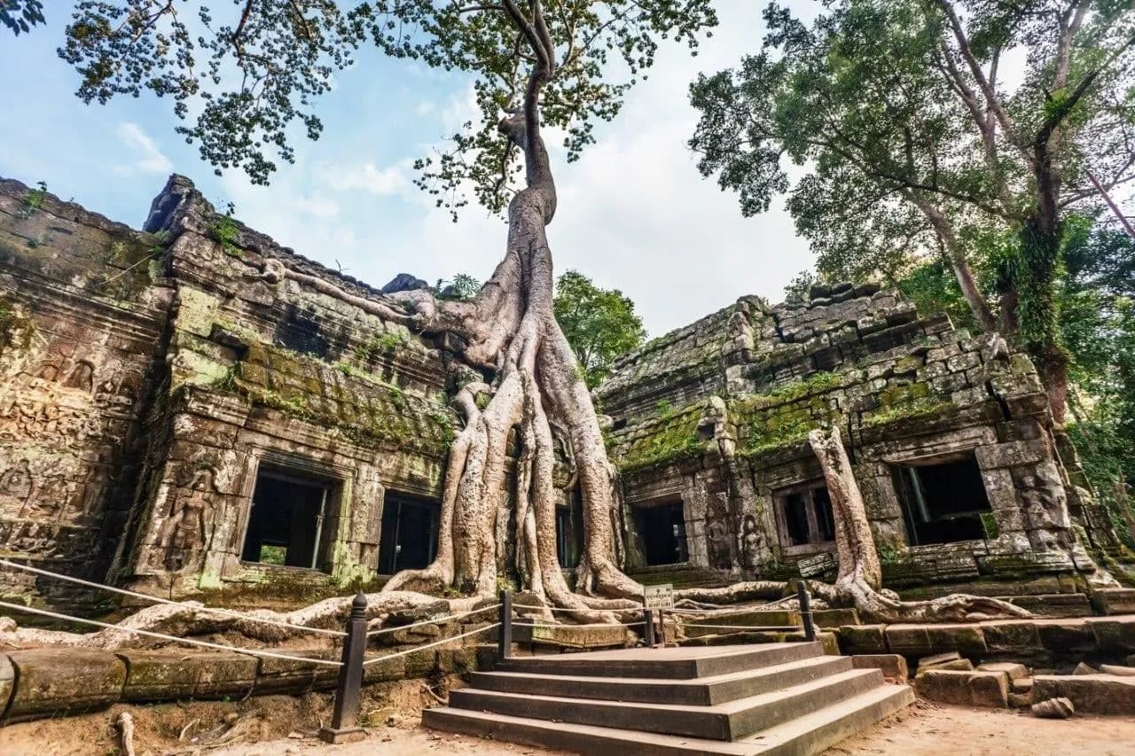 Tree roots spilling over the stone walls and doorways of Ta Prohm