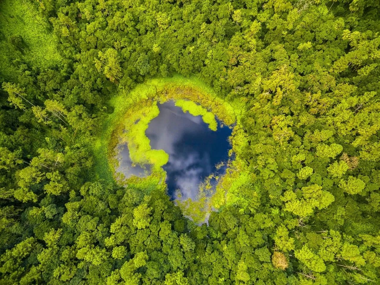 A small crater lake ringed by green forest, seen from above