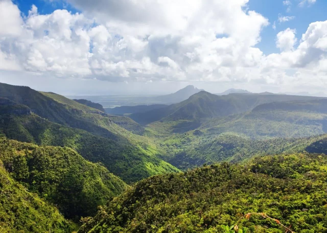 Forested ridges and valleys in the green hills of the interior