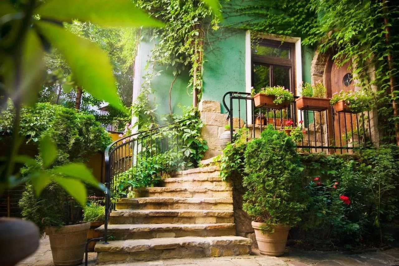 Stone steps leading up to a green house through a leafy garden