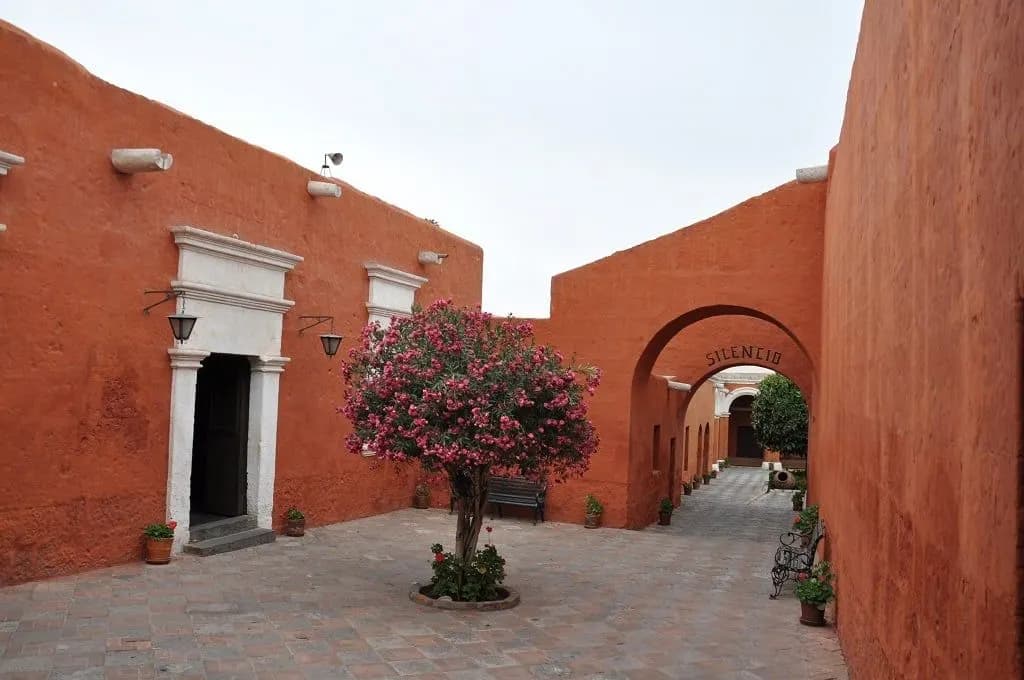 Red-walled lanes and a flowering tree inside the Santa Catalina Monastery, Arequipa