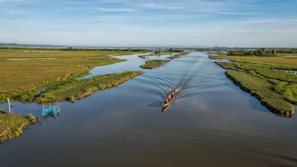 A boat crossing a channel through the green wetlands of a southern Thai lake