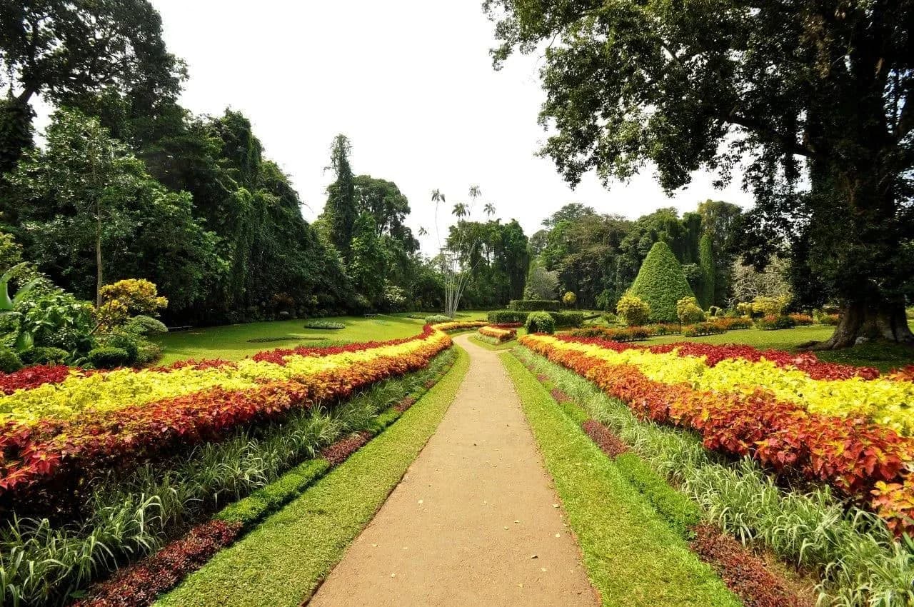 A garden path between long beds of red and yellow foliage