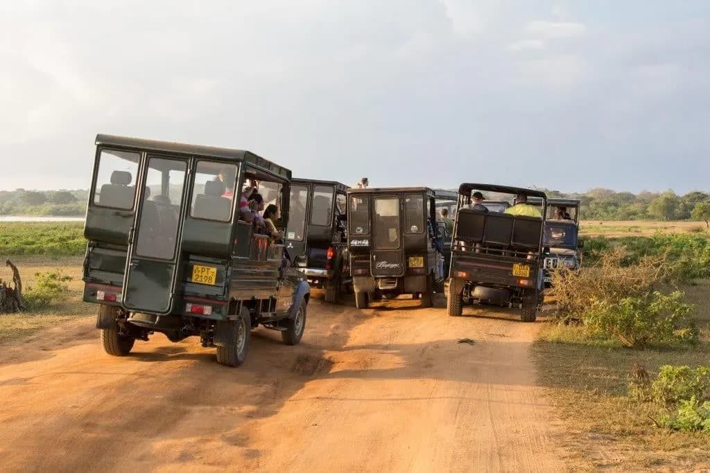 Safari in Yala