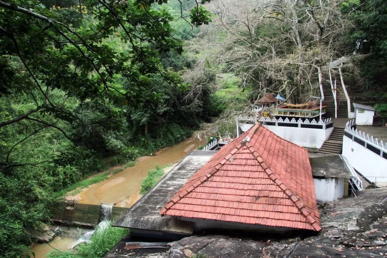 A red tiled temple roof beside a stream in the forest