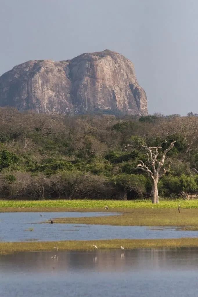 A great granite rock rising above scrub forest and a still lagoon