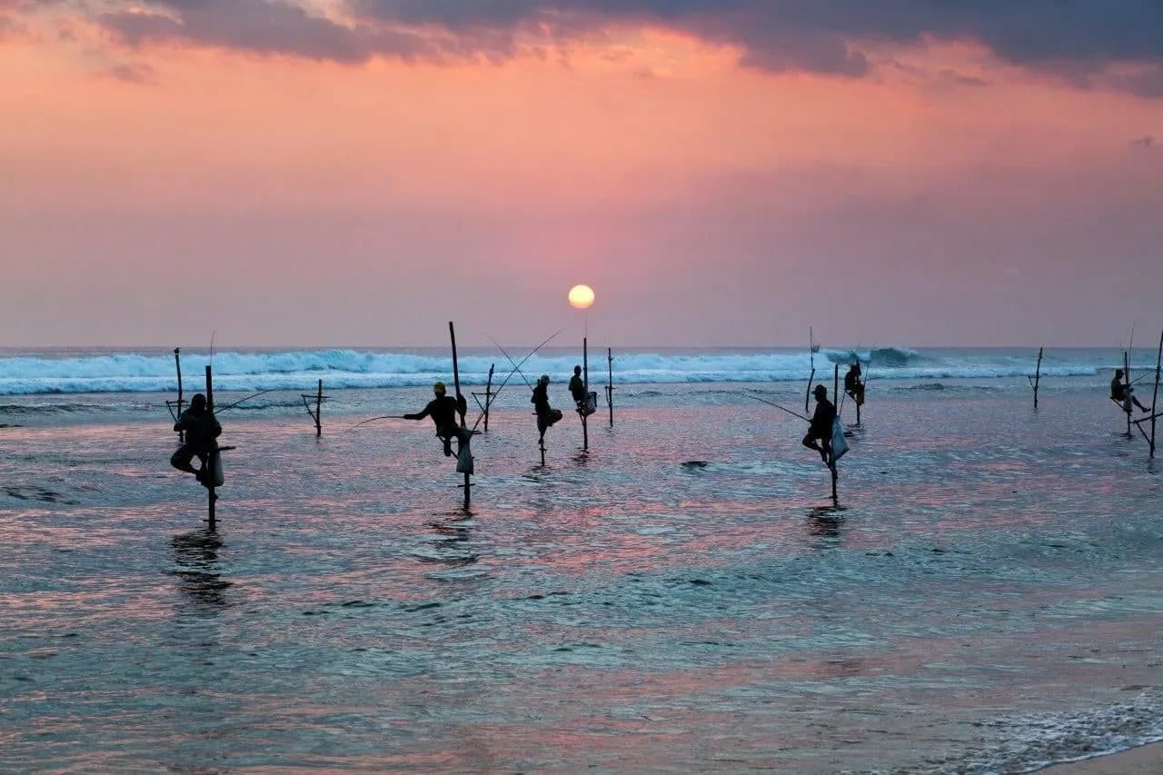 Stilt fishermen perched on poles in the sea at sunset