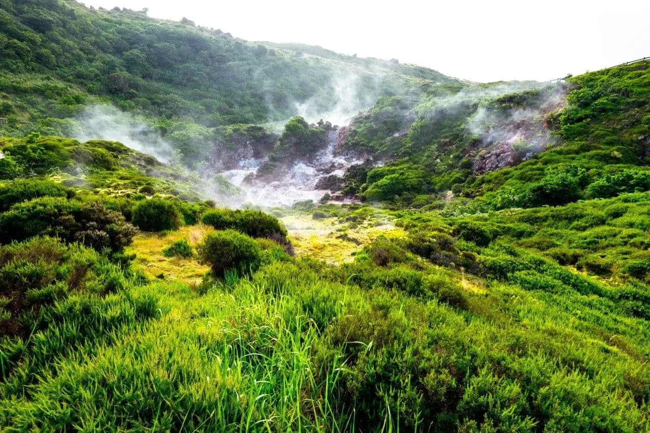 Steam rising from volcanic vents among green ferns on Terceira