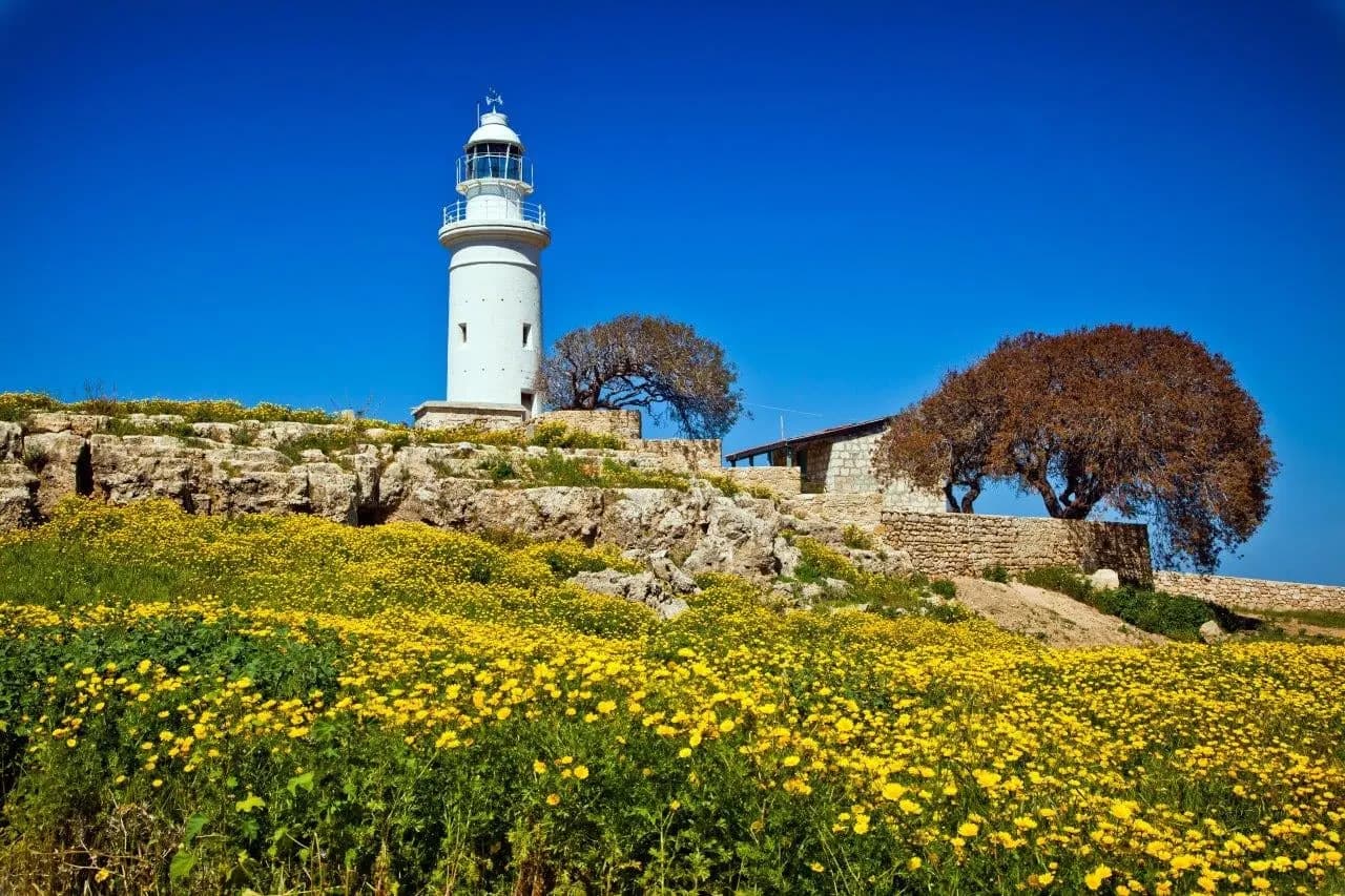 A white lighthouse above a field of yellow wildflowers