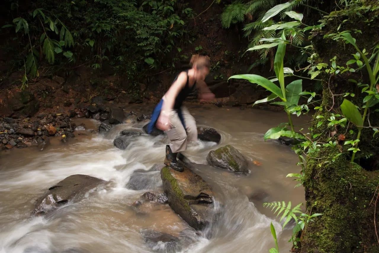 A walker stepping across a rocky stream in the rainforest
