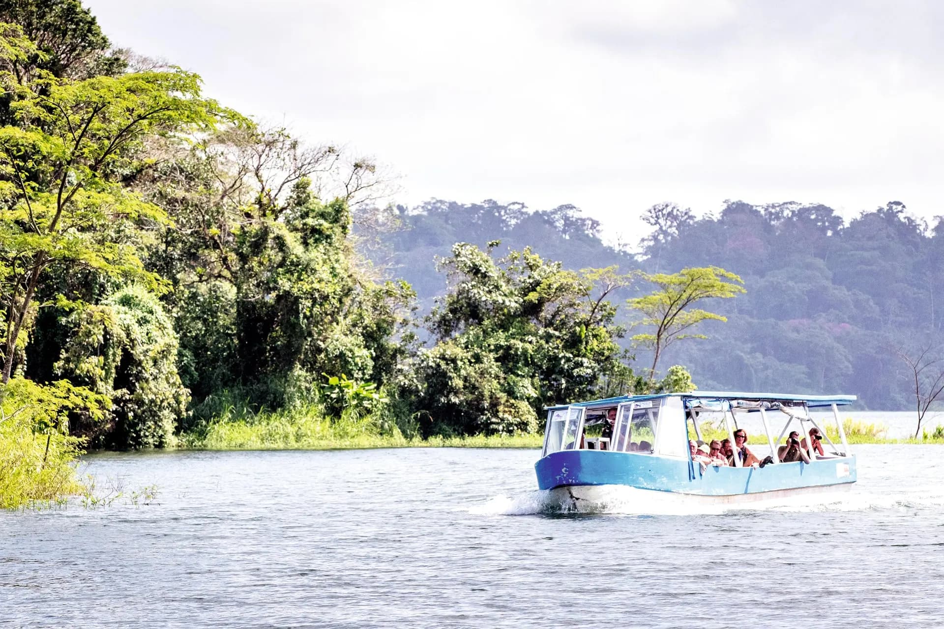 A covered boat carrying visitors along a forest-lined canal
