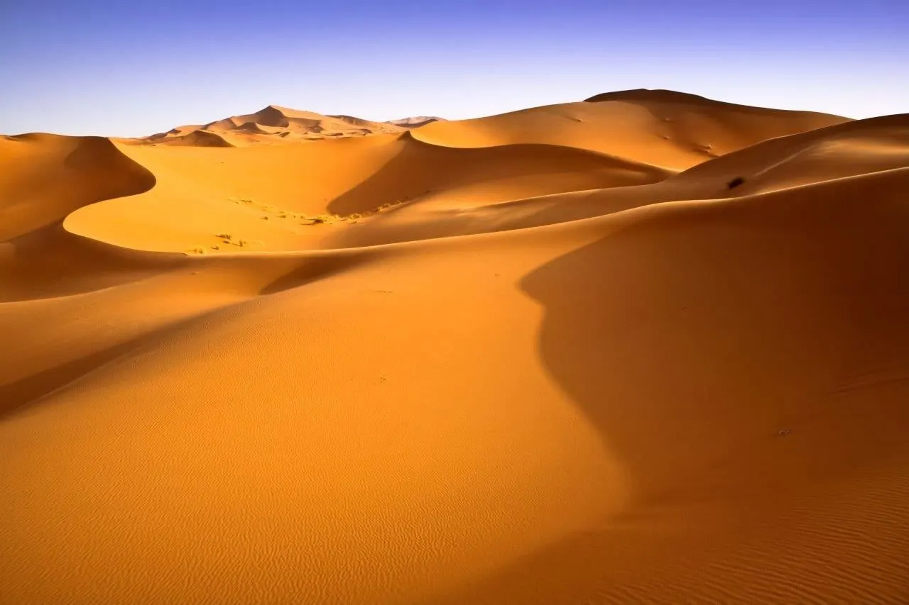 Rippled orange sand dunes of the Sahara