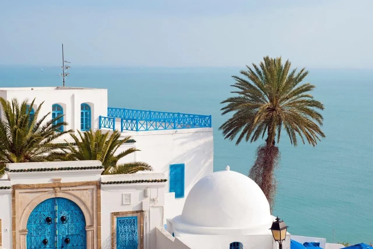 A blue door, white dome and palm tree above the sea at Sidi Bou Said