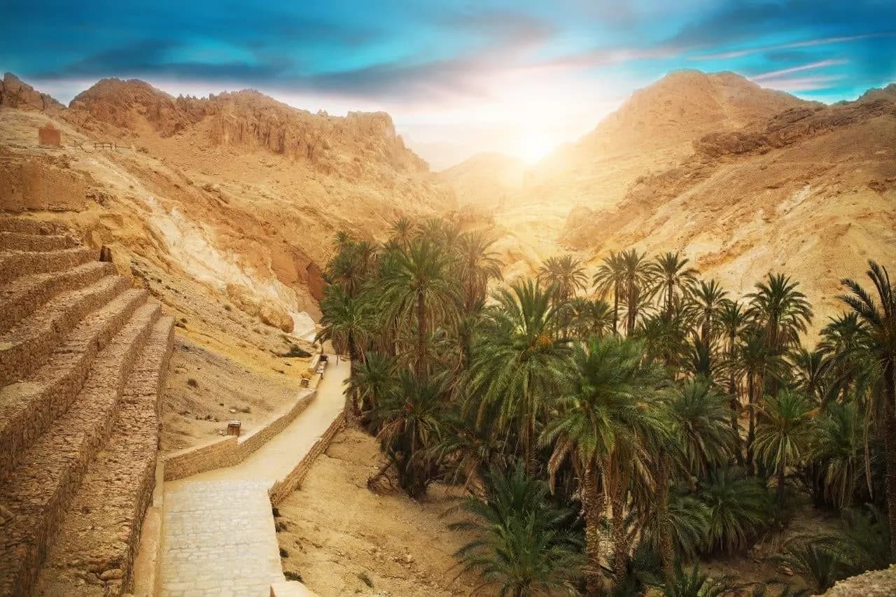 A palm oasis in a rocky desert canyon under a bright sky