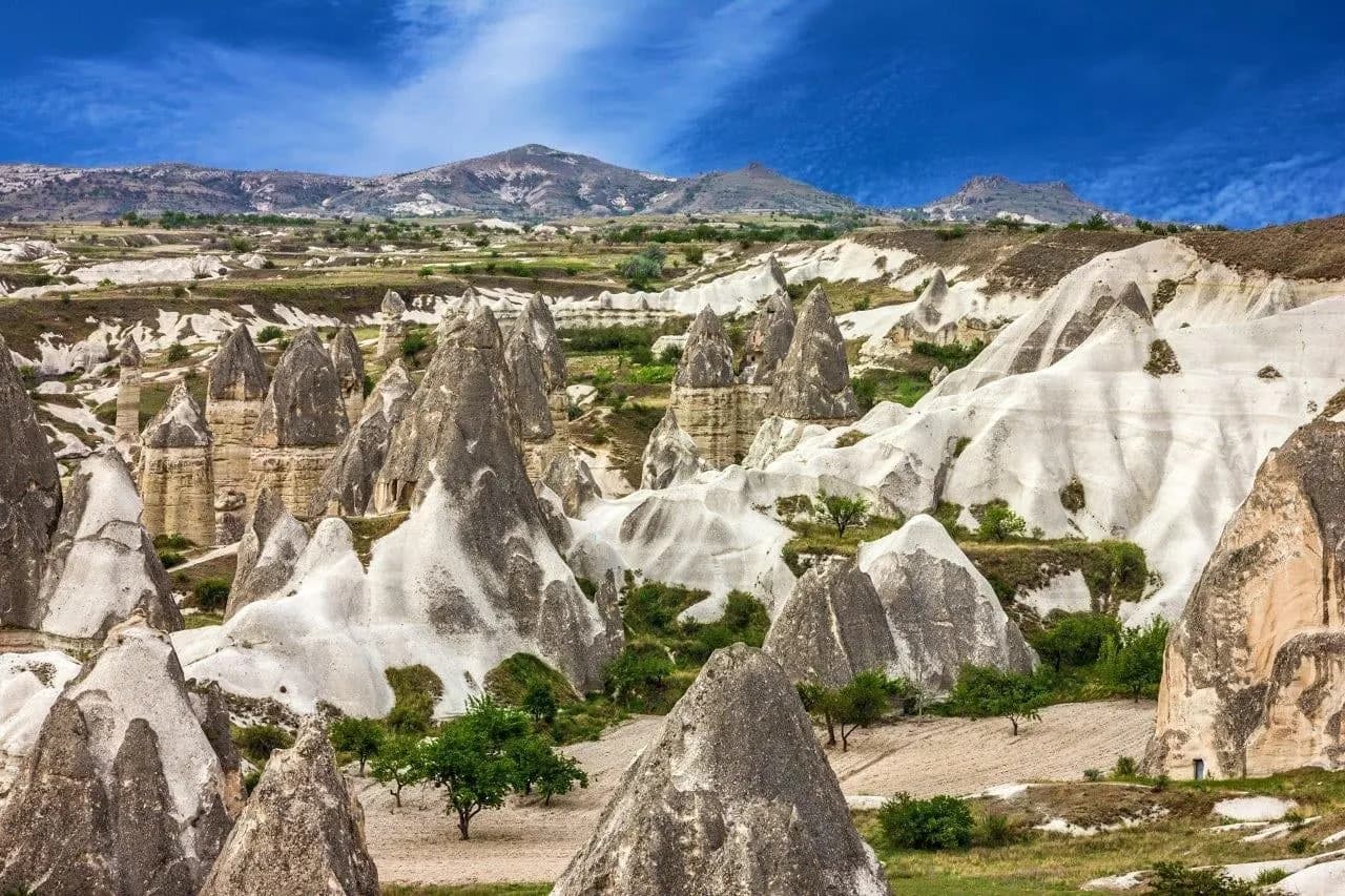 A valley of pale fairy chimneys in Cappadocia