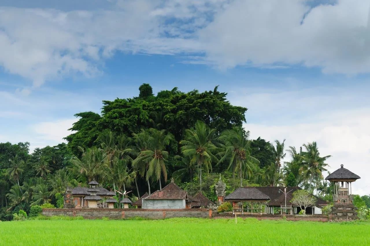 Thatched village shrines beneath tall trees beside a green rice field