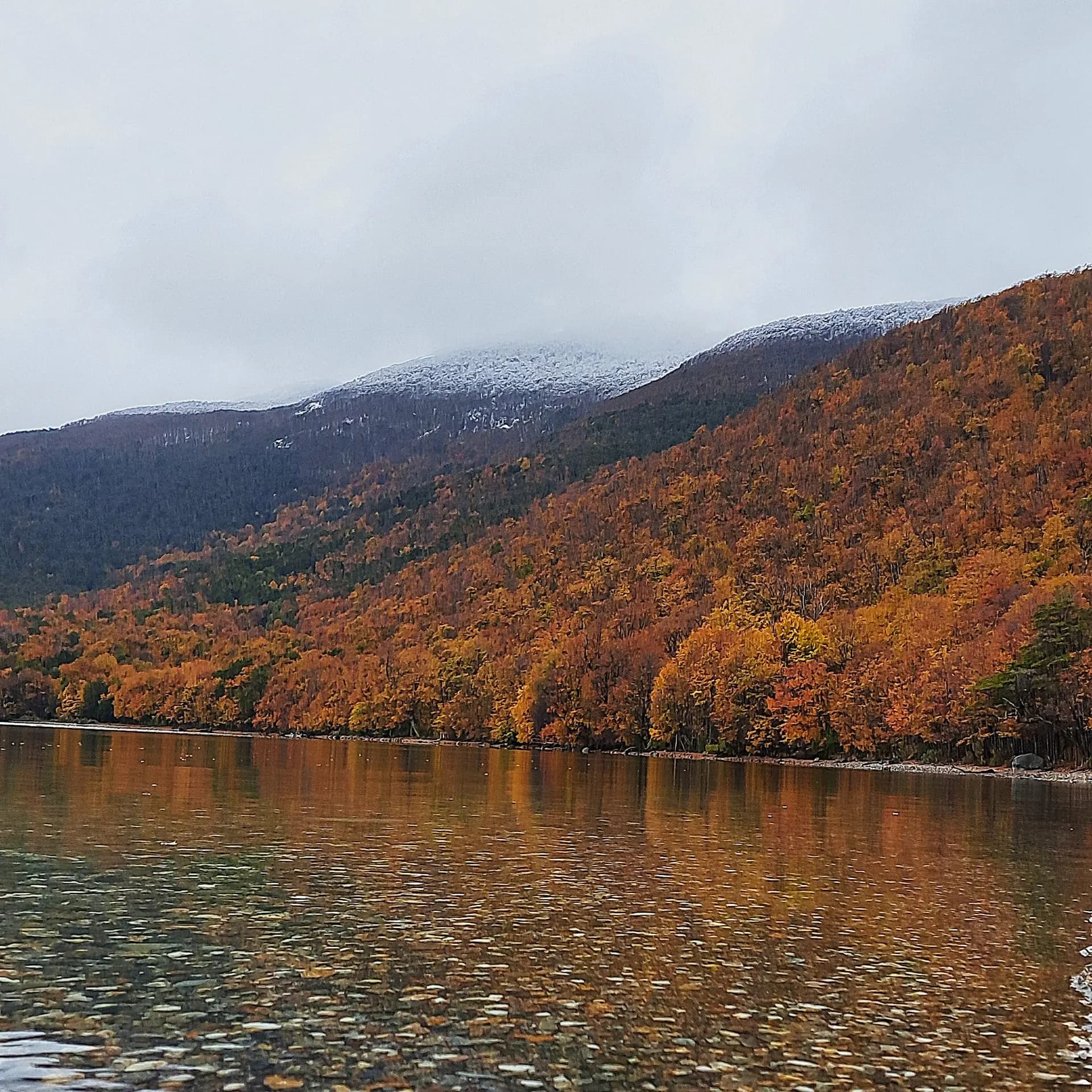 Hills covered in orange autumn forest above a calm lake