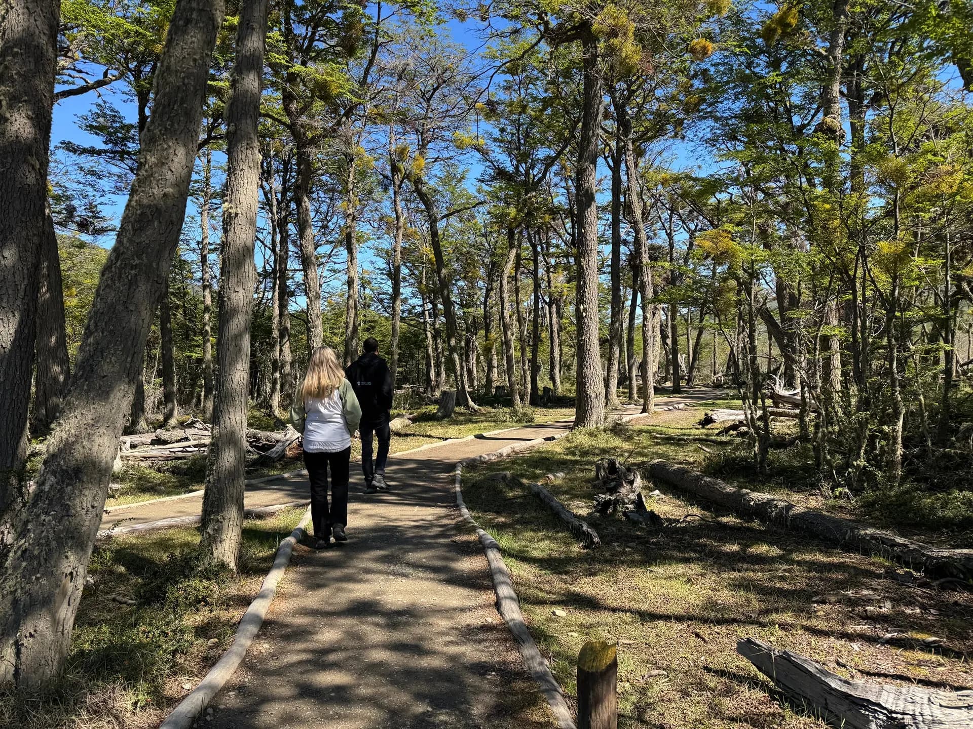Trek to Laguna Esmeralda
