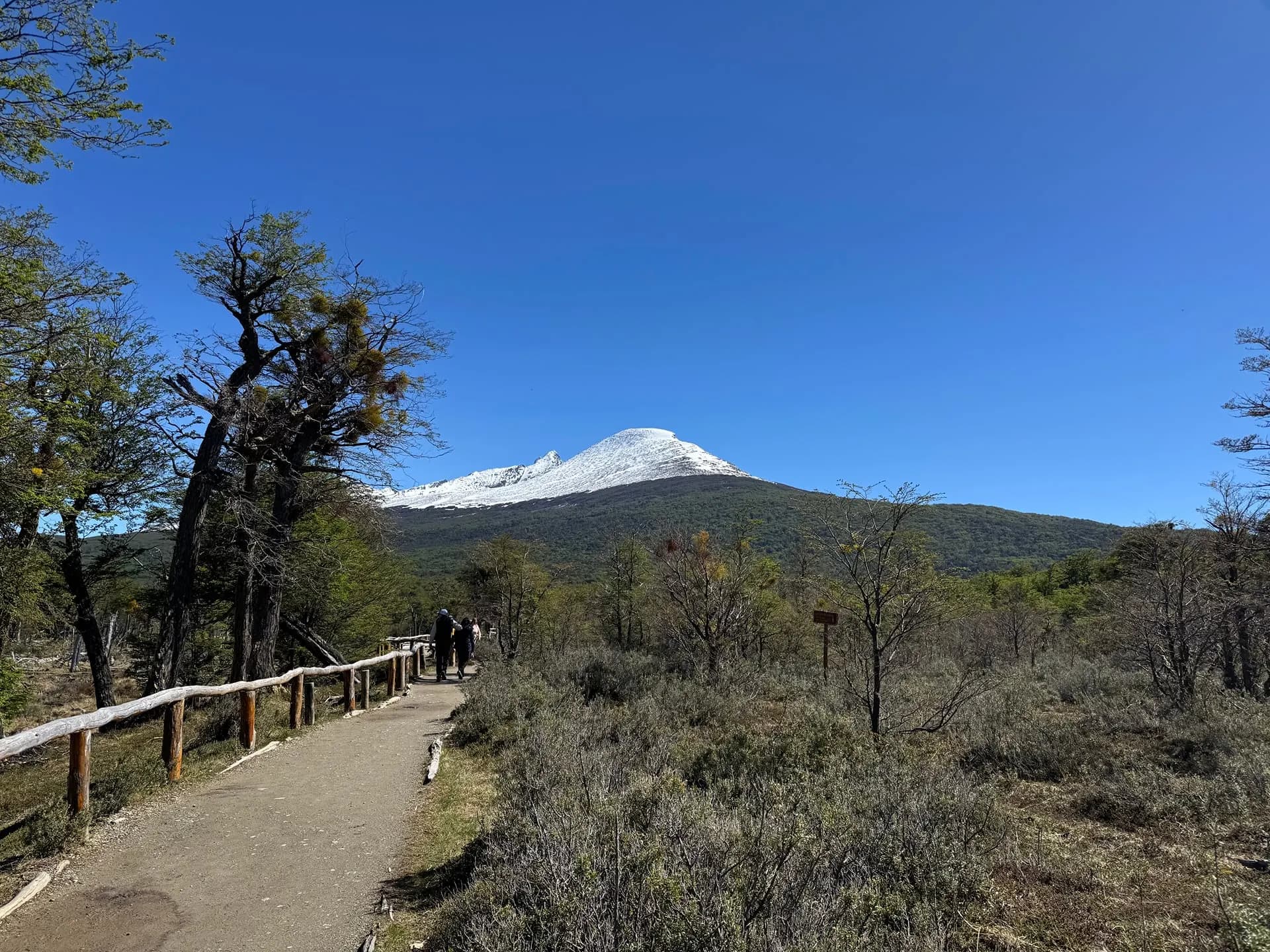 A walking path through scrub towards a snow-topped mountain
