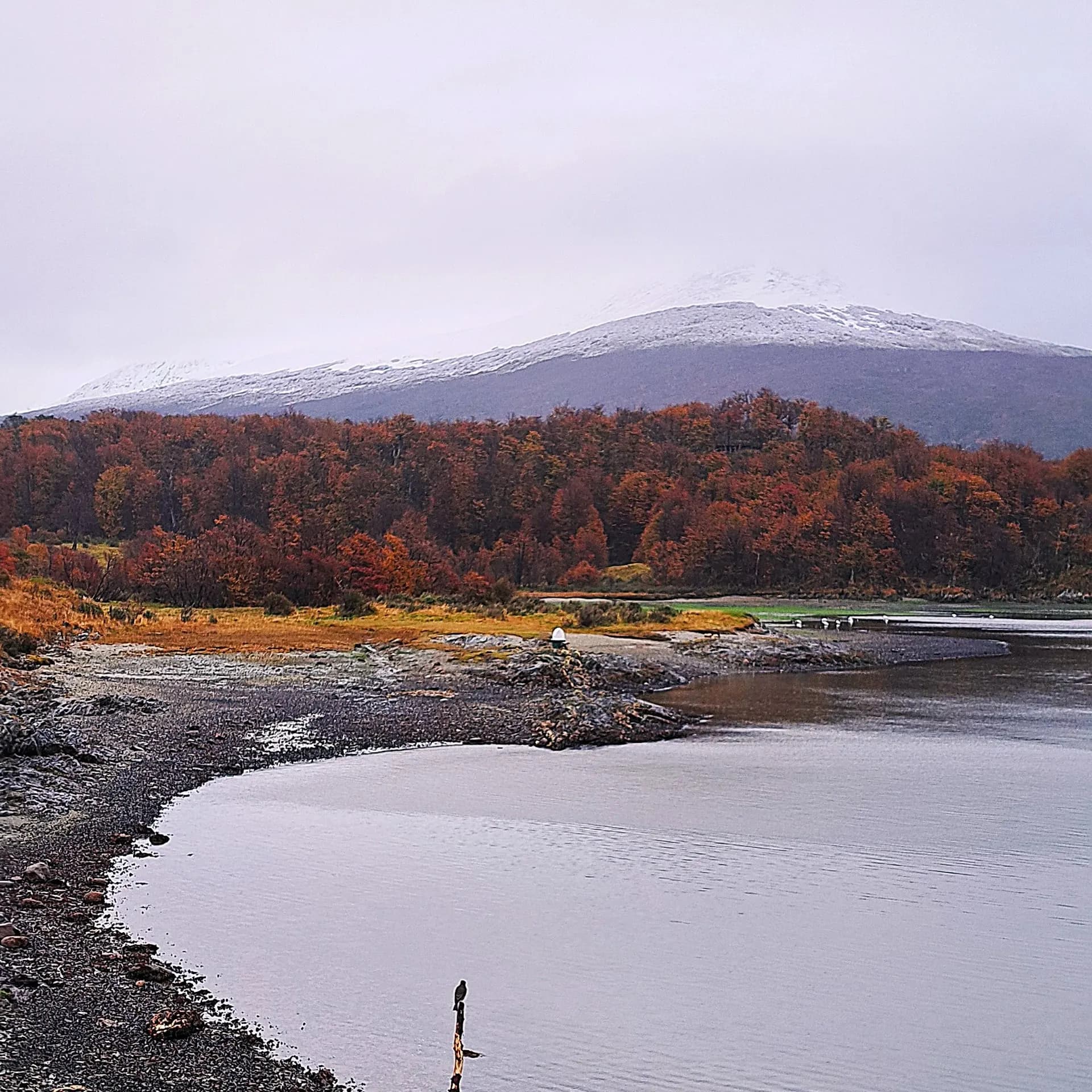 A curving pebble shoreline below autumn trees and a snow-dusted hill