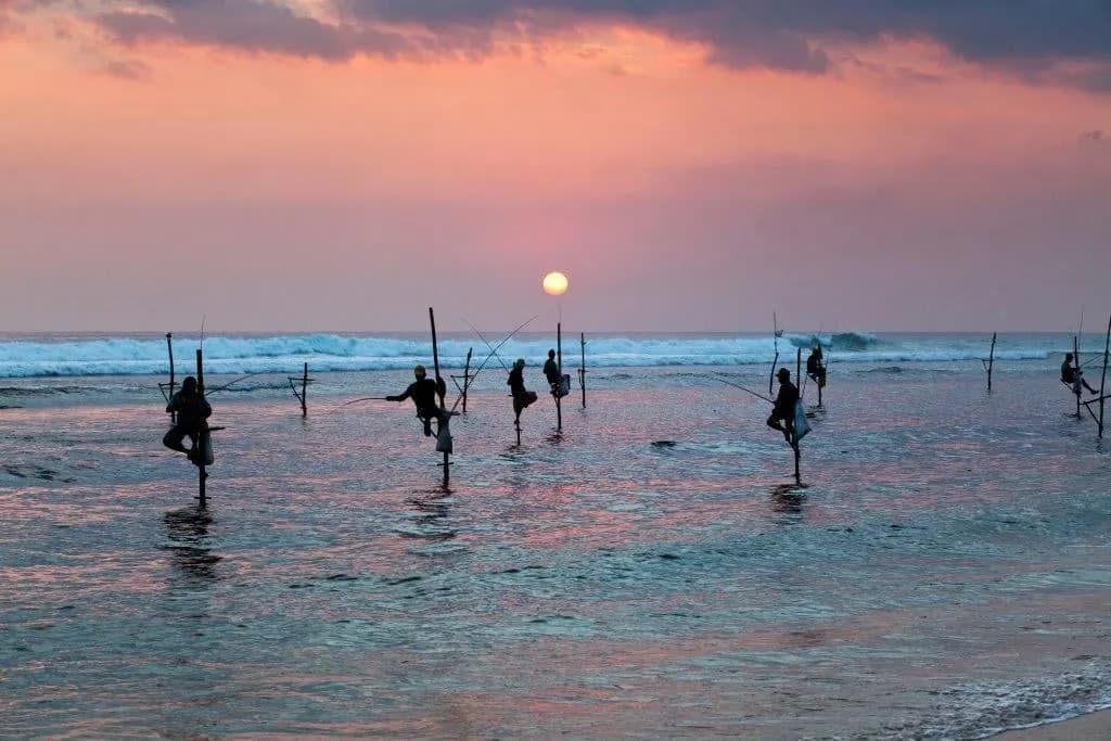 Stilt fishermen on poles in the sea as the sun sets