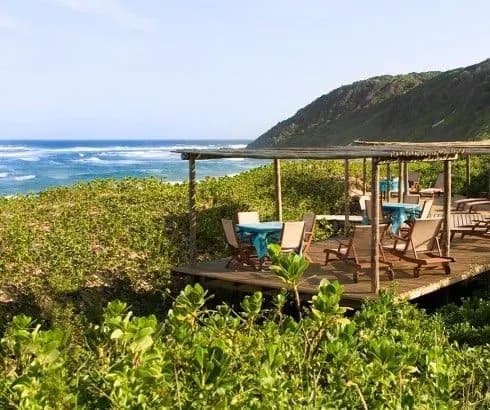 A shaded deck among dune forest above the Indian Ocean