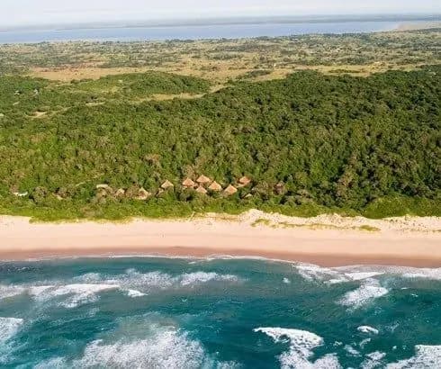 Coastal forest running down to a long sandy beach on the Maputaland coast