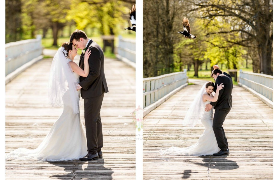 best wedding photobombs, internet's best wedding photobombs, wedding photobombs, funny wedding, funny wedding photos