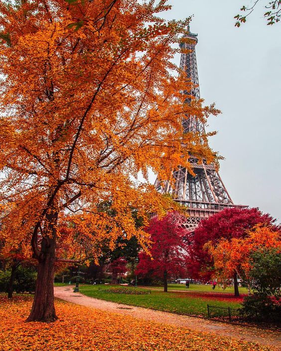 autumn paris Eiffel tower 