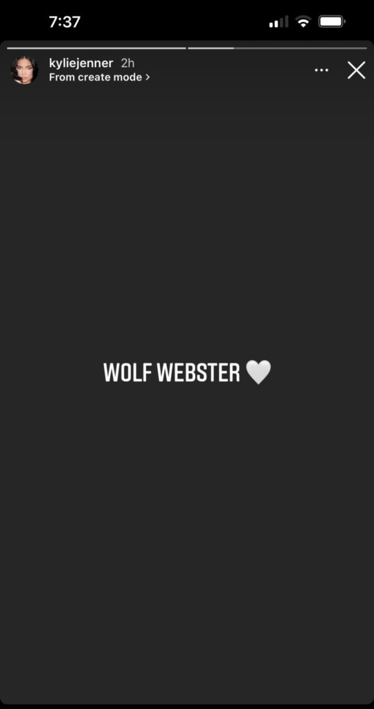 Kylie Jenner Wolf Webster 