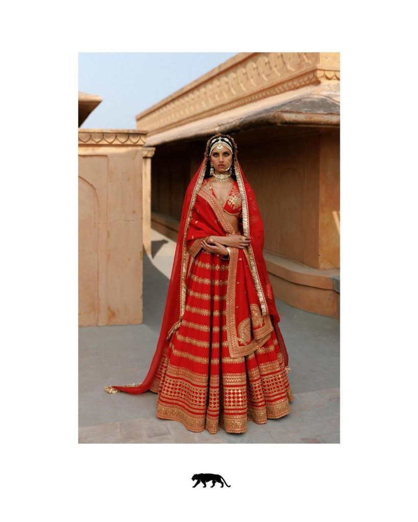 Traditional red and gold saree with timeless elegance