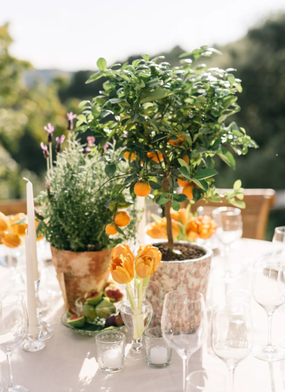 sustainable decor and reusable plants as wedding trend for 2023