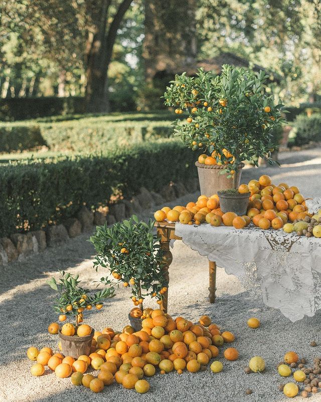 Table overflowing with oranges at an Italian villa.