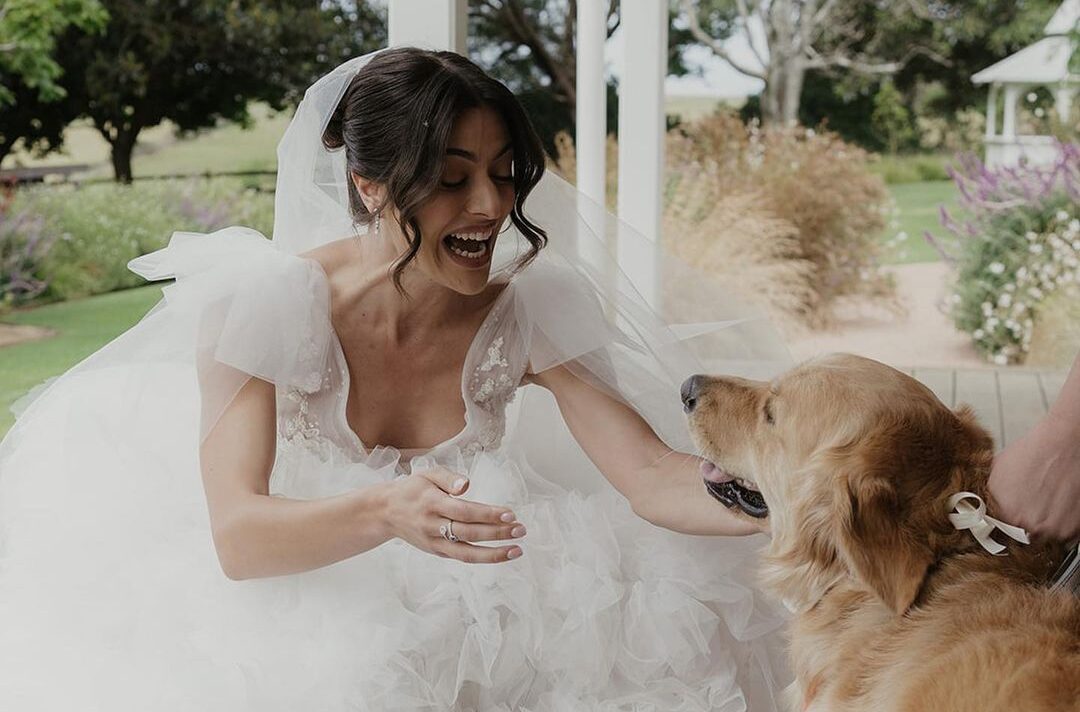 How to Involve Your Pet in Your Destination Wedding